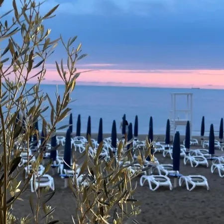 Dream Sea *